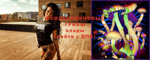бутират Алзамай