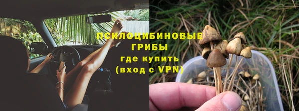 a pvp Алексин