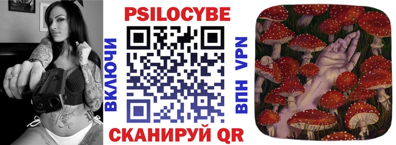 Галлюциногенные грибы Psilocybine cubensis  как найти   Дубовка 